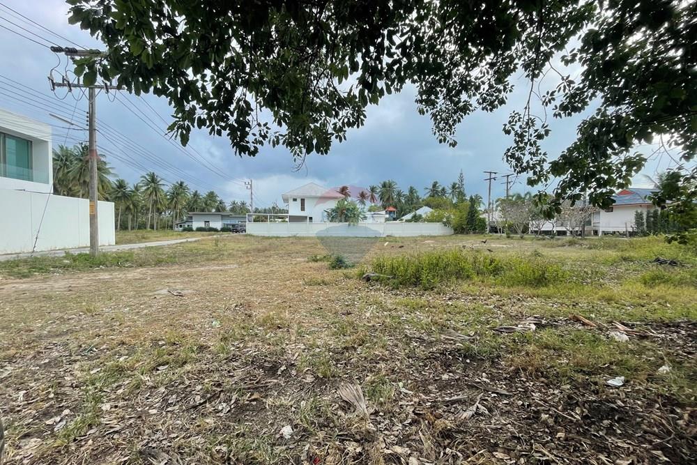 Land - Residential - For Sale - Koh Samui, Surat Thani - IMG_4530.jpeg - 920121079-39