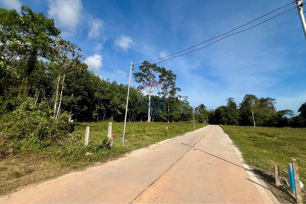 Land - Residential - For Sale - Koh Samui, Surat Thani - S__206618642_0.jpg - 920121030-298