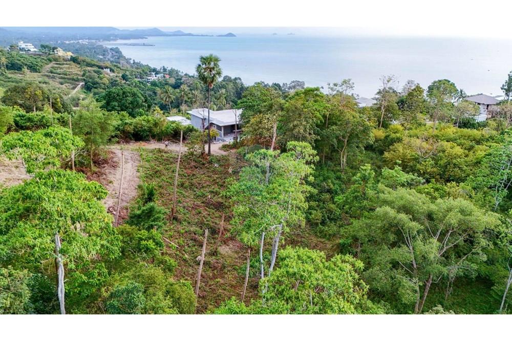 Land - Residential - For Sale - Koh Samui, Surat Thani - 647071_0.jpg - 920121075-105