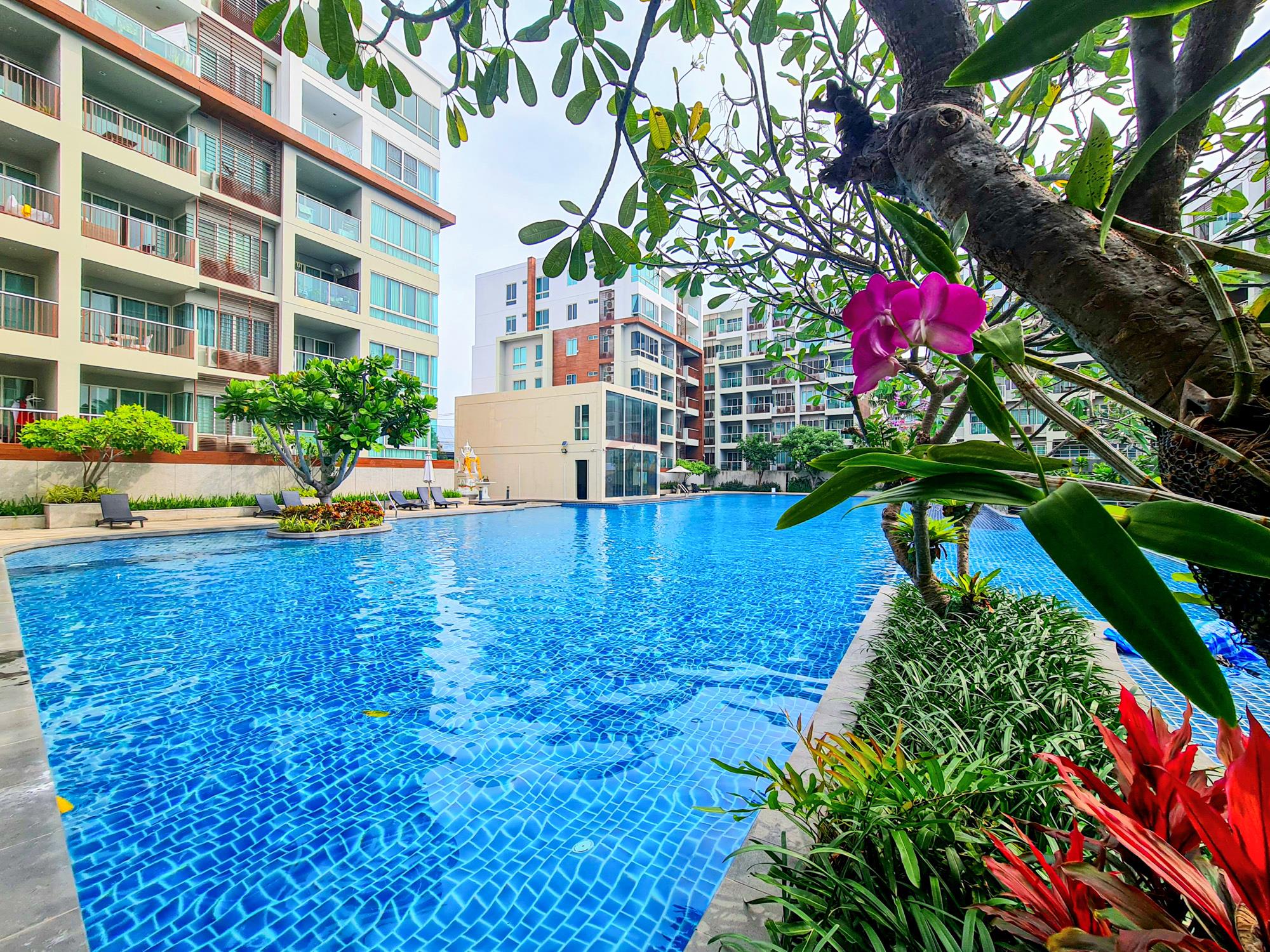 Luxury Condo - For Rent/Lease - Hua Hin, Prachuap Khiri Khan - 20221109_141655.jpg - 920601001-1157