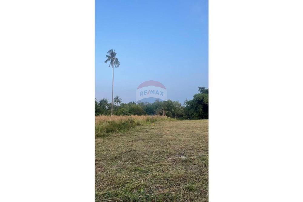 Land - Residential - For Sale - Koh Samui, Surat Thani - S__31948899_0.jpg - 920121030-292