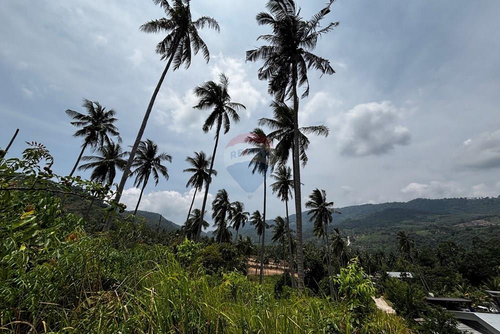Land - Residential - For Sale - Koh Samui, Surat Thani - IMG_2418.jpeg - 920121088-20