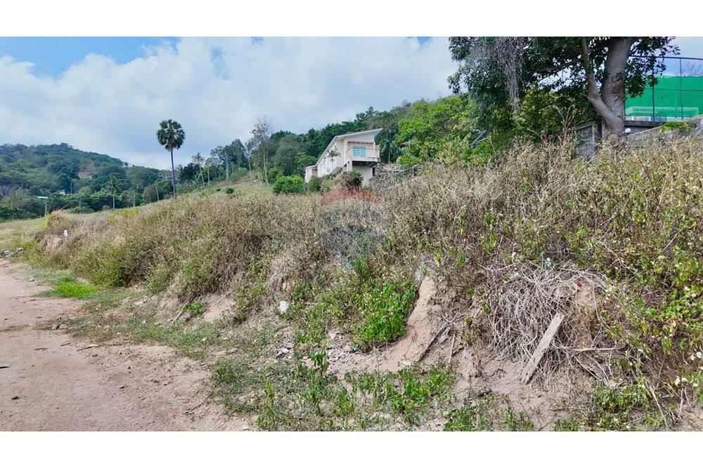 Land - Residential - For Sale - Koh Samui, Surat Thani - LINE_ALBUM_Land @MaeNam_260325_34.jpg - 920121001-3514