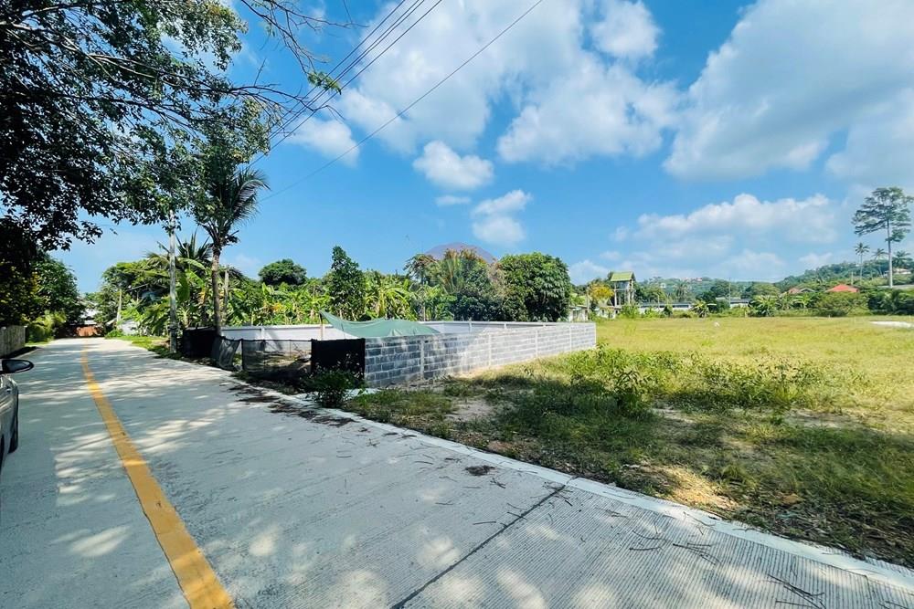 Land - Residential - For Sale - Koh Samui, Surat Thani - IMG_3910.jpeg - 920121079-38