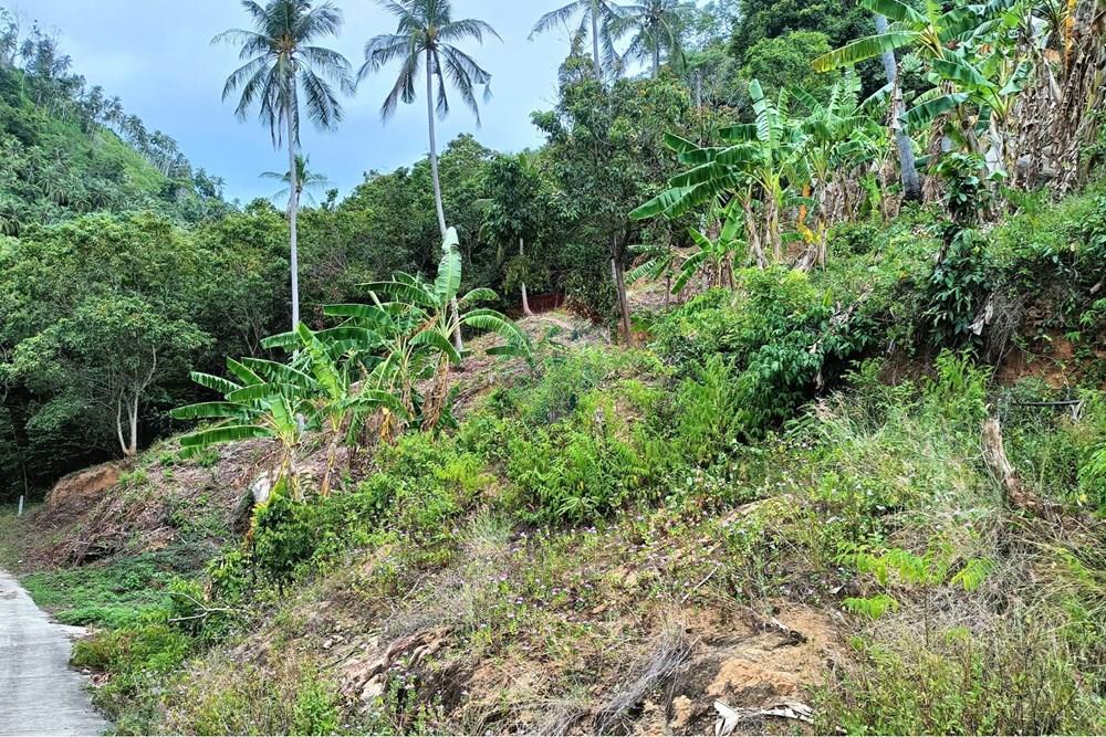 Land - Residential - For Sale - Koh Samui, Surat Thani - WhatsApp Image 2025-09-30 at 15.47.28_7a8e9de9.jpg - 920121083-64