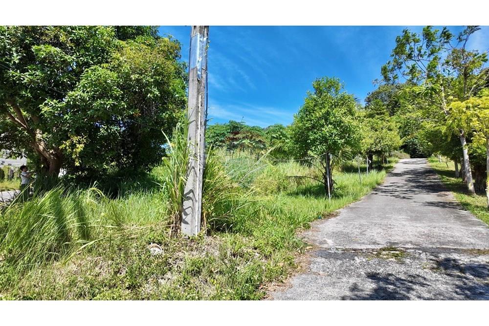 Land - Residential - For Sale - Koh Samui, Surat Thani - IMG_4863.JPG - 920121077-14