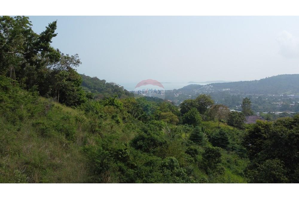 Land - Residential - For Sale - Koh Samui, Surat Thani - IMG_4845.JPG - 920121077-14