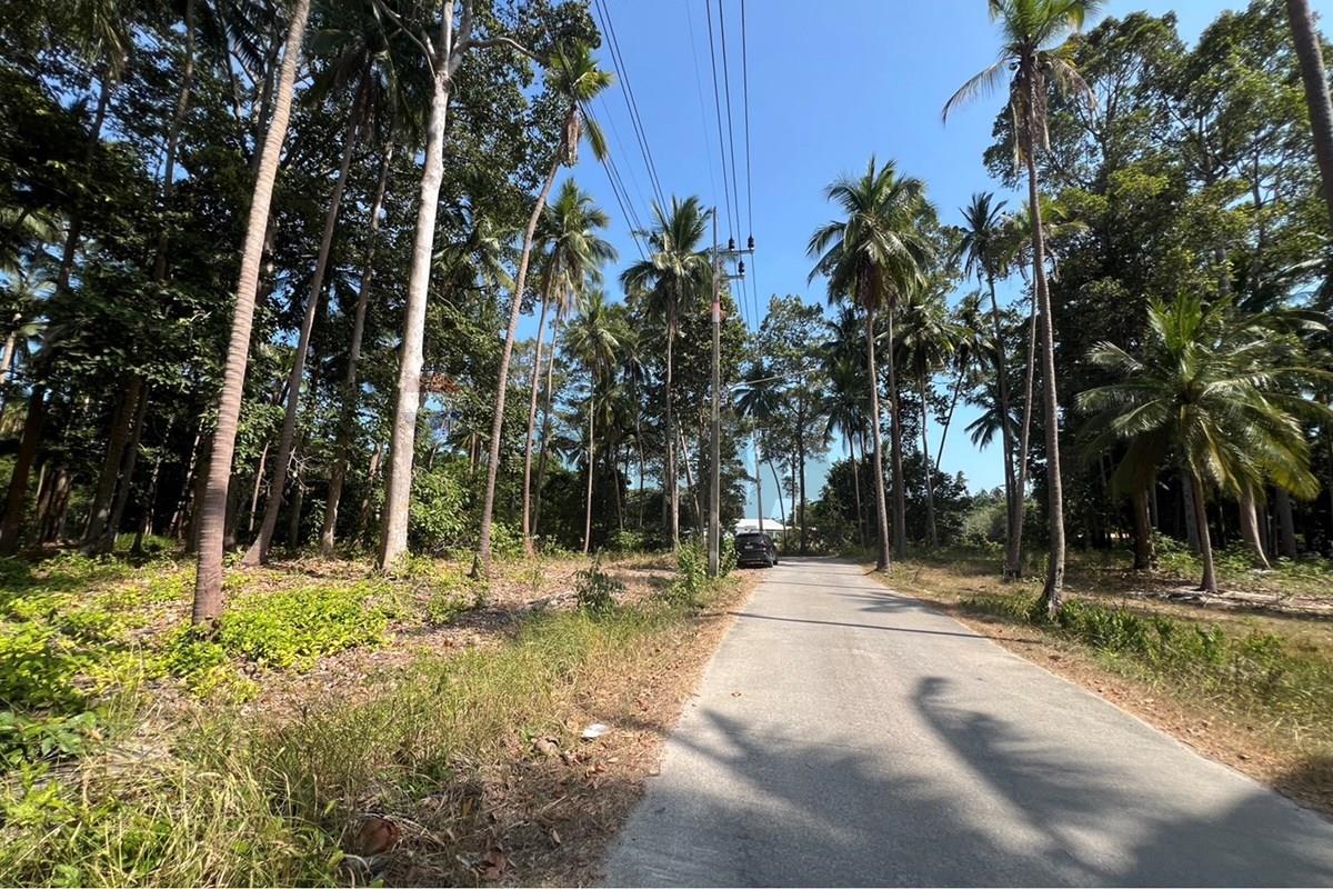 Land - Residential - For Sale - Koh Samui, Surat Thani - S__42606608_0.jpg - 920121030-309
