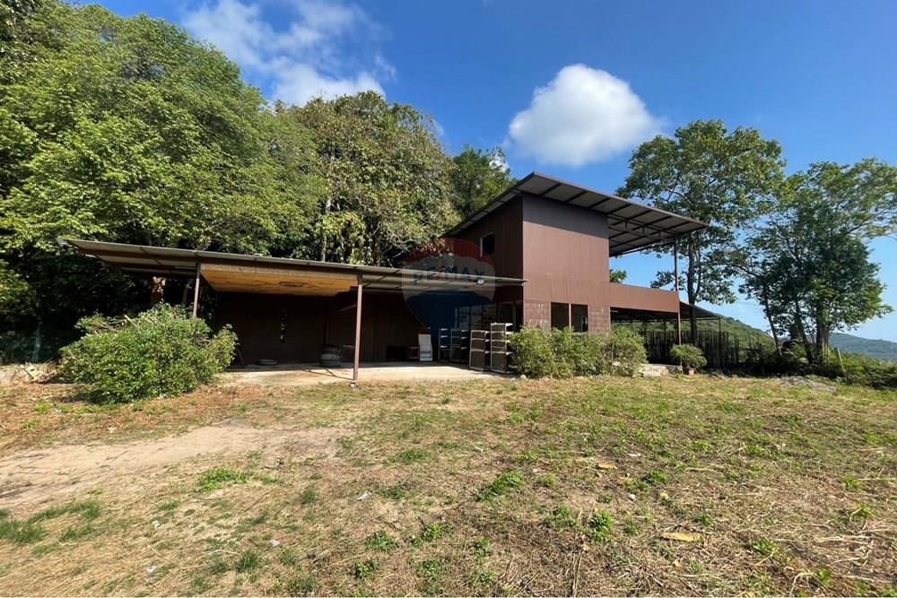 Land - Residential - For Sale - Koh Samui, Surat Thani - IMG_6347.jpeg - 920121079-48