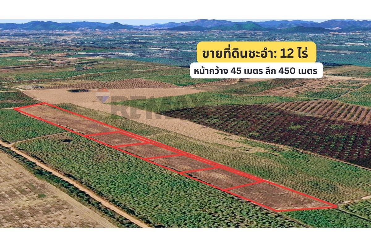 Land - Residential - For Sale - Cha-Am, Phetchaburi - 4.jpg - 920601001-1195