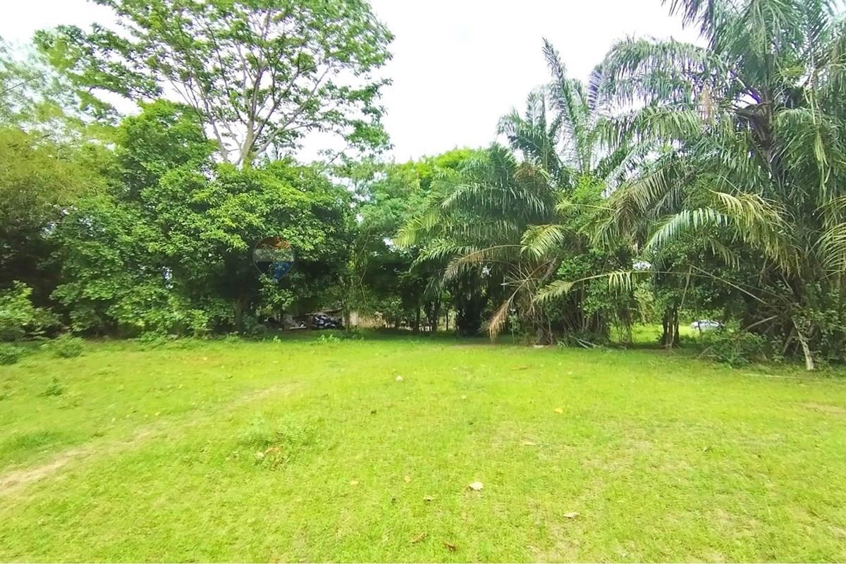 Land - Residential - For Sale - Koh Samui, Surat Thani - 672649_0.jpg - 920121075-110