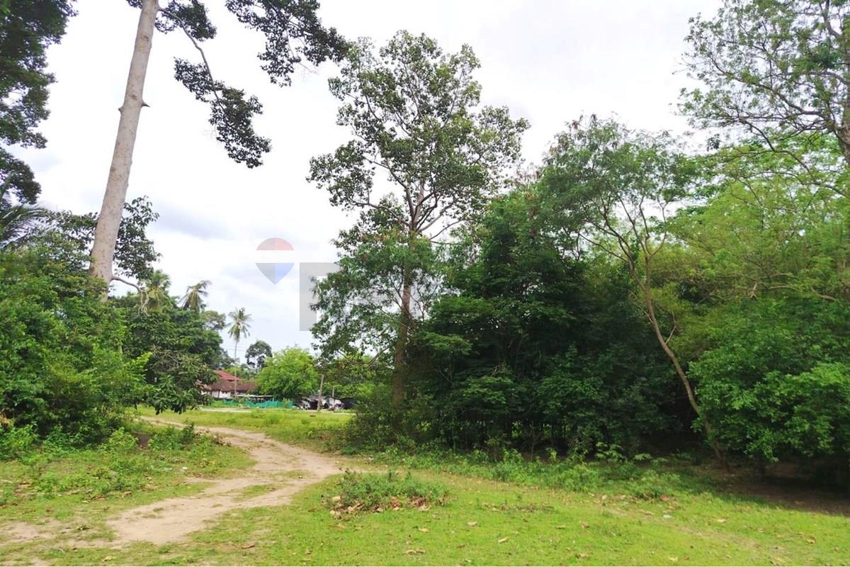 Land - Residential - For Sale - Koh Samui, Surat Thani - 672641_0.jpg - 920121075-110