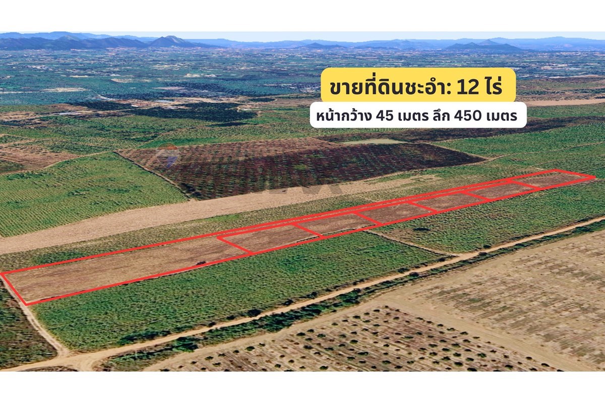 Land - Residential - For Sale - Cha-Am, Phetchaburi - 2.jpg - 920601001-1195