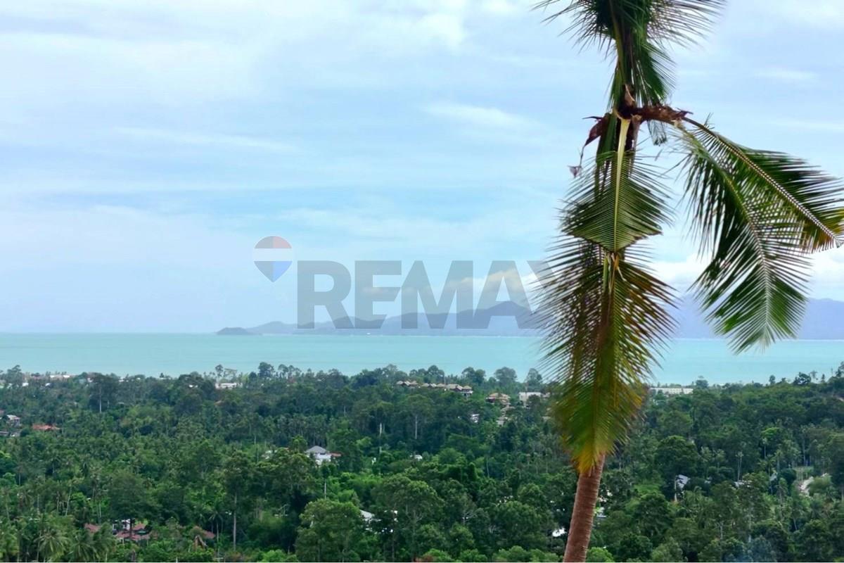 Land - Residential - For Sale - Koh Samui, Surat Thani - 671451_0.jpg - 920121075-109