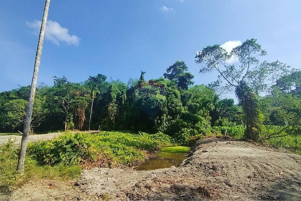 Land - Residential - For Sale - Koh Samui, Surat Thani - 655600_0.jpg - 920121075-106