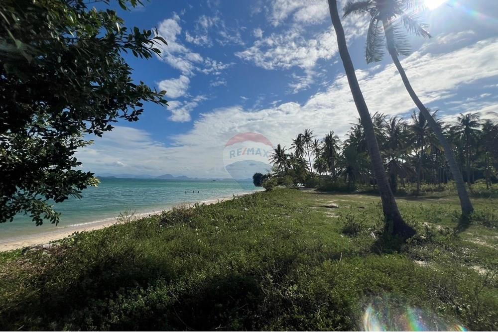 Land - Residential - For Sale - Koh Samui, Surat Thani - S__26820666_0.jpg - 920121030-278