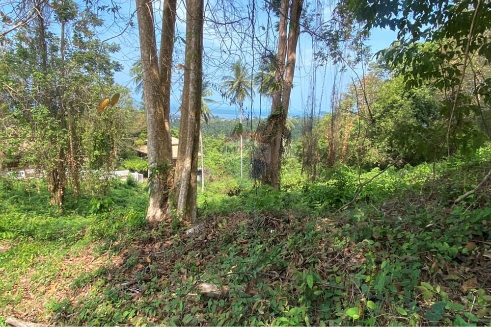 Land - Residential - For Sale - Koh Samui, Surat Thani - IMG_5660.JPG - 920121075-101
