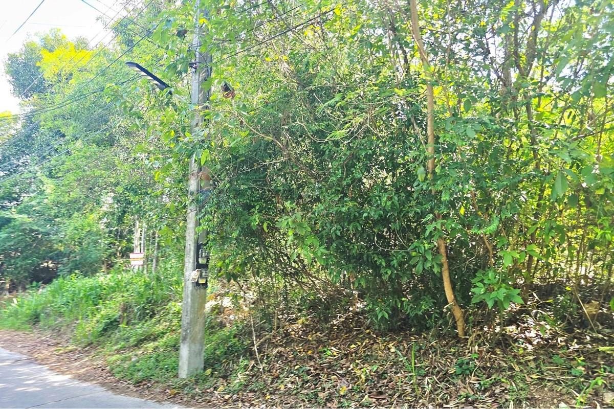 Land - Residential - For Sale - Koh Samui, Surat Thani - 010.jpg - 920121018-340