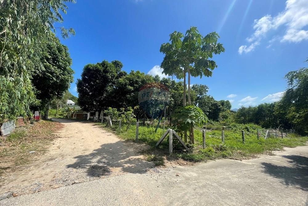 Land - Residential - For Sale - Koh Samui, Surat Thani - IMG_2052.jpeg - 920121079-10