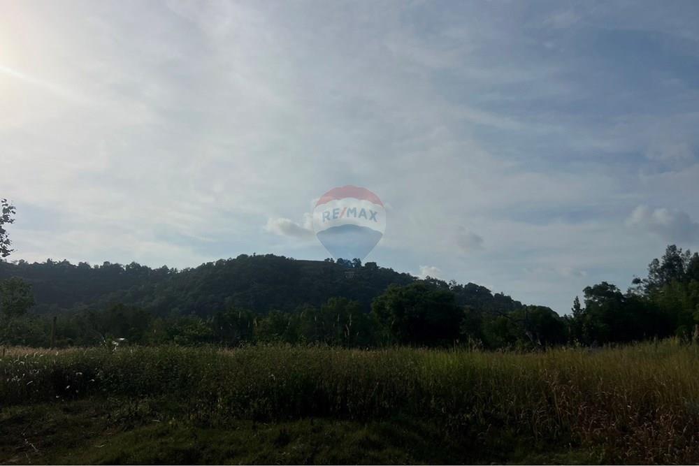 Land - Residential - For Rent/Lease - Koh Samui, Surat Thani - S__206094341_0.jpg - 920121030-296