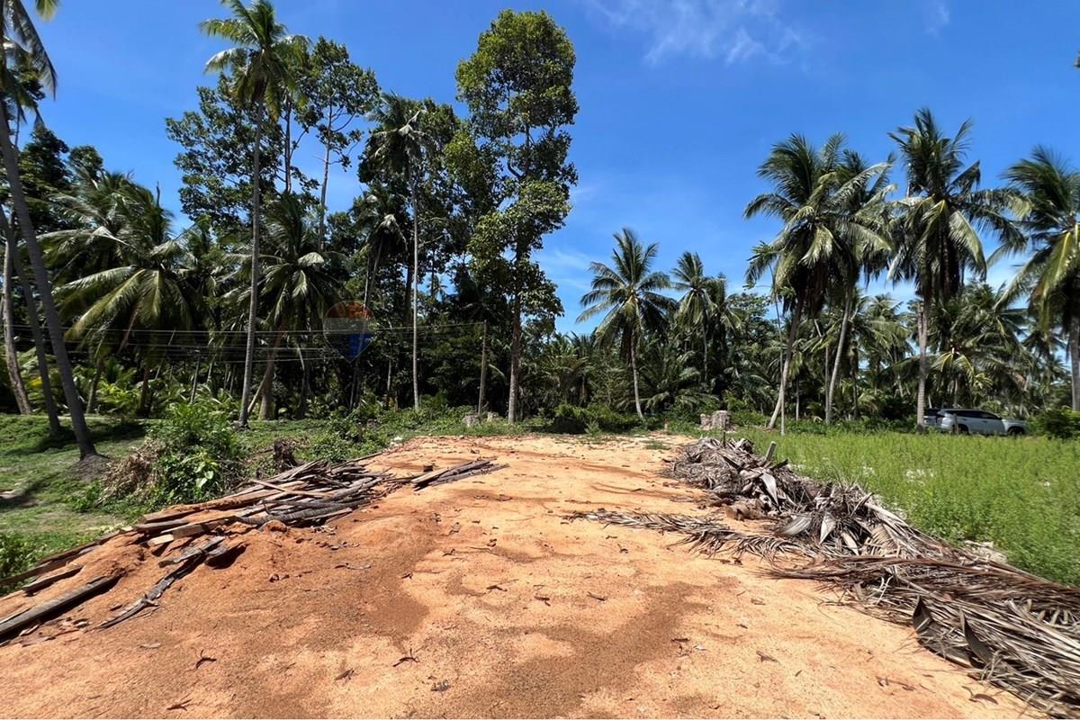 Land - Residential - For Sale - Koh Samui, Surat Thani - S__42434583_0.jpg - 920121030-308
