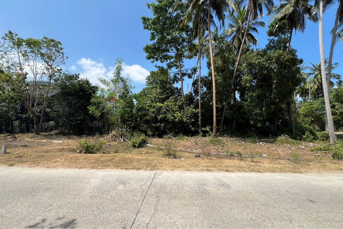 Land - Residential - For Sale - Koh Samui, Surat Thani - S__42606616_0.jpg - 920121030-309