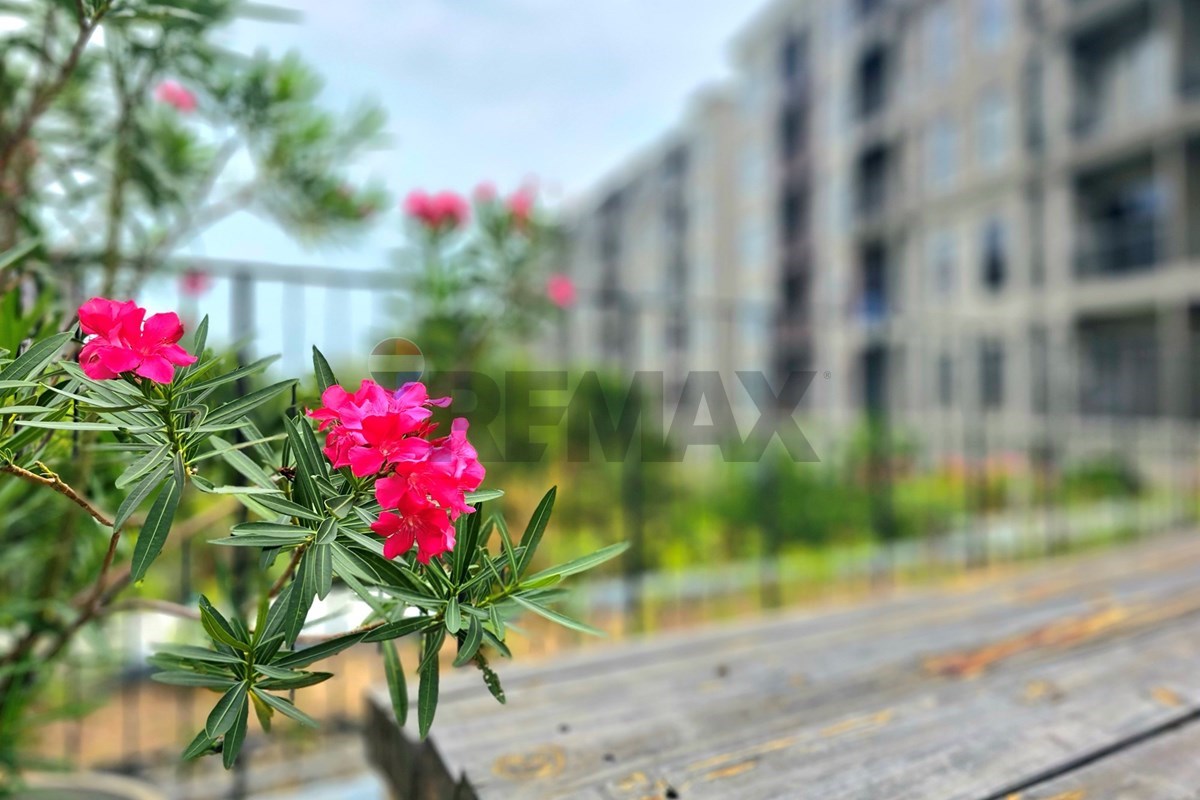 Condo/Apartment - For Sale - Hua Hin, Prachuap Khiri Khan - 20230831_114358.jpg - 920601001-1312