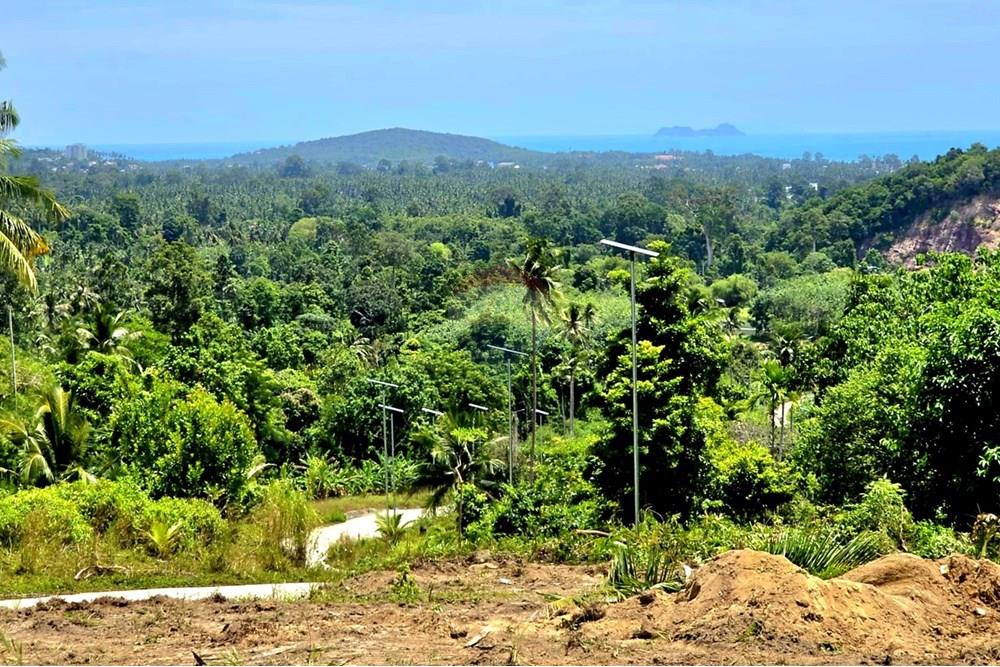 Land - Residential - For Sale - Koh Samui, Surat Thani - 008.jpg - 920121018-306