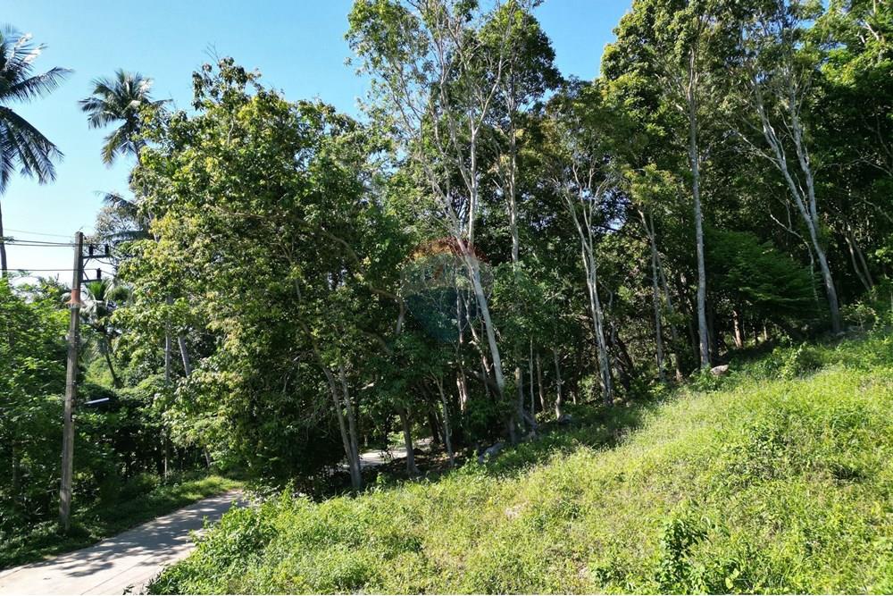 Land - Residential - For Sale - Koh Samui, Surat Thani - IMG-20251205-WA0020.jpg - 920121068-80