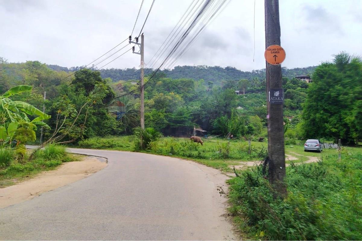 Land - Residential - For Sale - Koh Samui, Surat Thani - 672616_0.jpg - 920121075-110