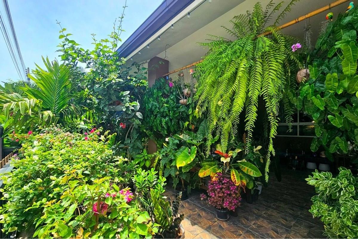 Villa - For Sale - Pran Buri, Prachuap Khiri Khan - 20260620_115329.jpg - 920601001-1182
