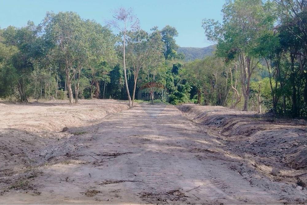 Land - Residential - For Sale - Koh Samui, Surat Thani - 655618_0.jpg - 920121075-106