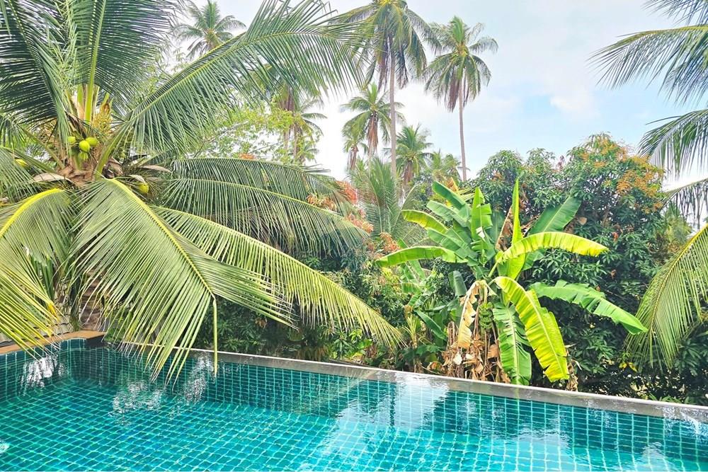 Villa - For Sale - Koh Samui, Surat Thani - 001.jpg - 920121018-335