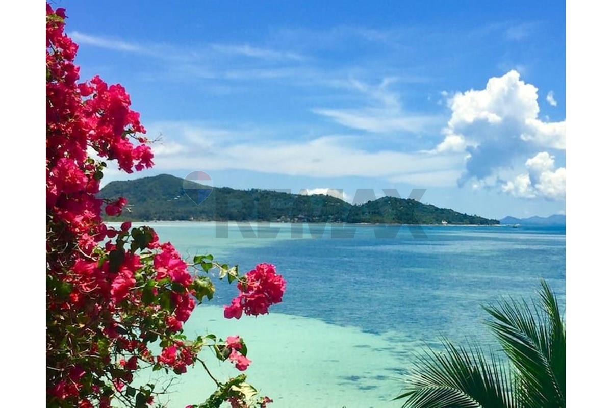 Single House - For Rent/Lease - Koh Pha Ngan, Surat Thani - compressed_1781789694524.jpg - 920121087-34