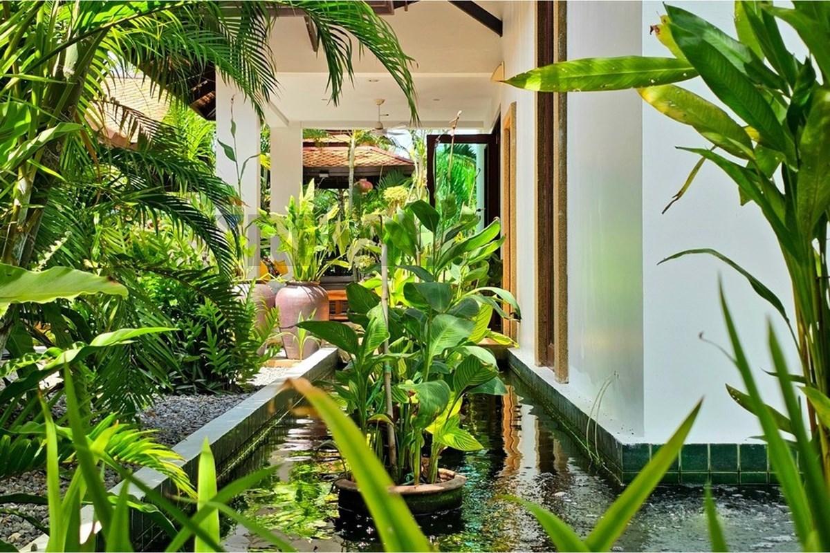Villa - For Sale - Hua Hin, Prachuap Khiri Khan - 20260804_135416.jpg - 920601001-1224
