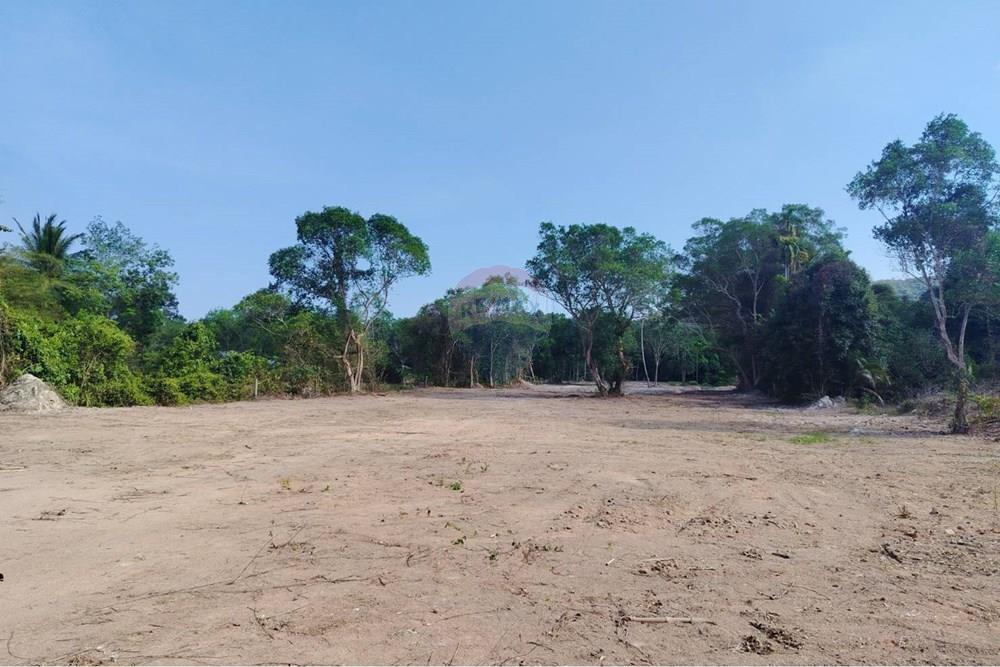 Land - Residential - For Sale - Koh Samui, Surat Thani - 655631_0.jpg - 920121075-106