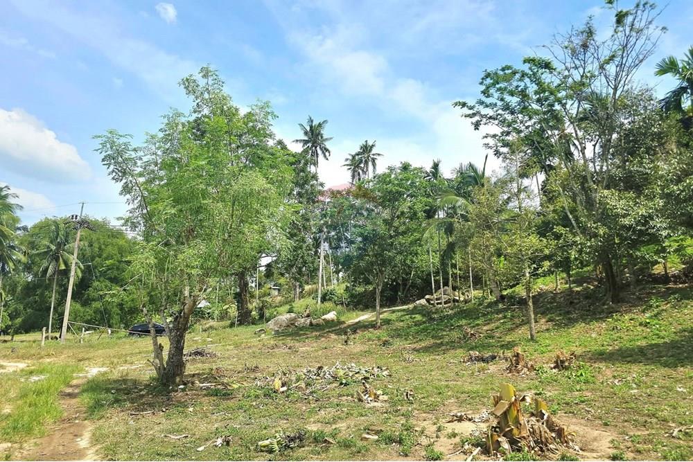 Land - Residential - For Sale - Koh Samui, Surat Thani - 545561165_10222887928986541_3441312456550624706_n.jpg - 920121018-328