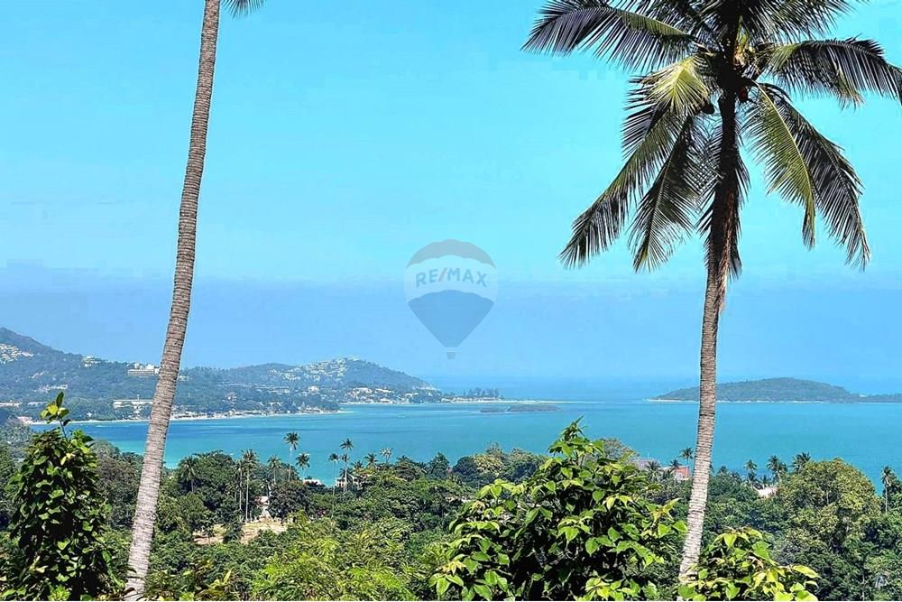 Land - Residential - For Sale - Koh Samui, Surat Thani - 600335144_10223873036373610_4208983693535129844_n.jpg - 920121018-321