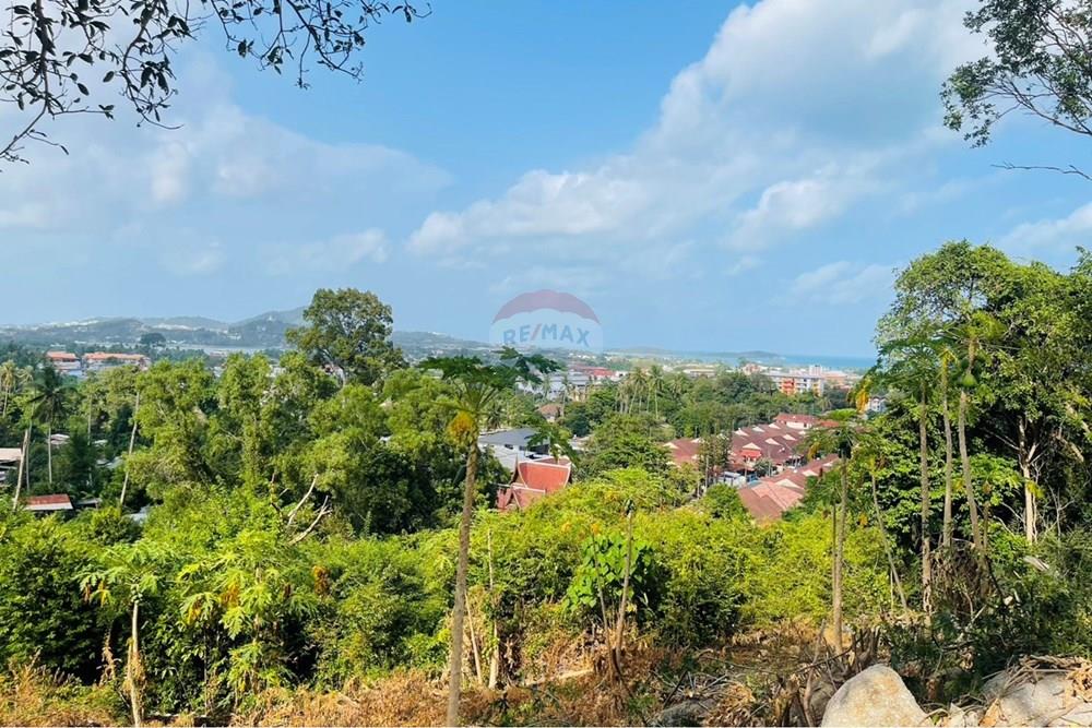 Land - Residential - For Rent/Lease - Koh Samui, Surat Thani - IMG_5787.jpeg - 920121079-45