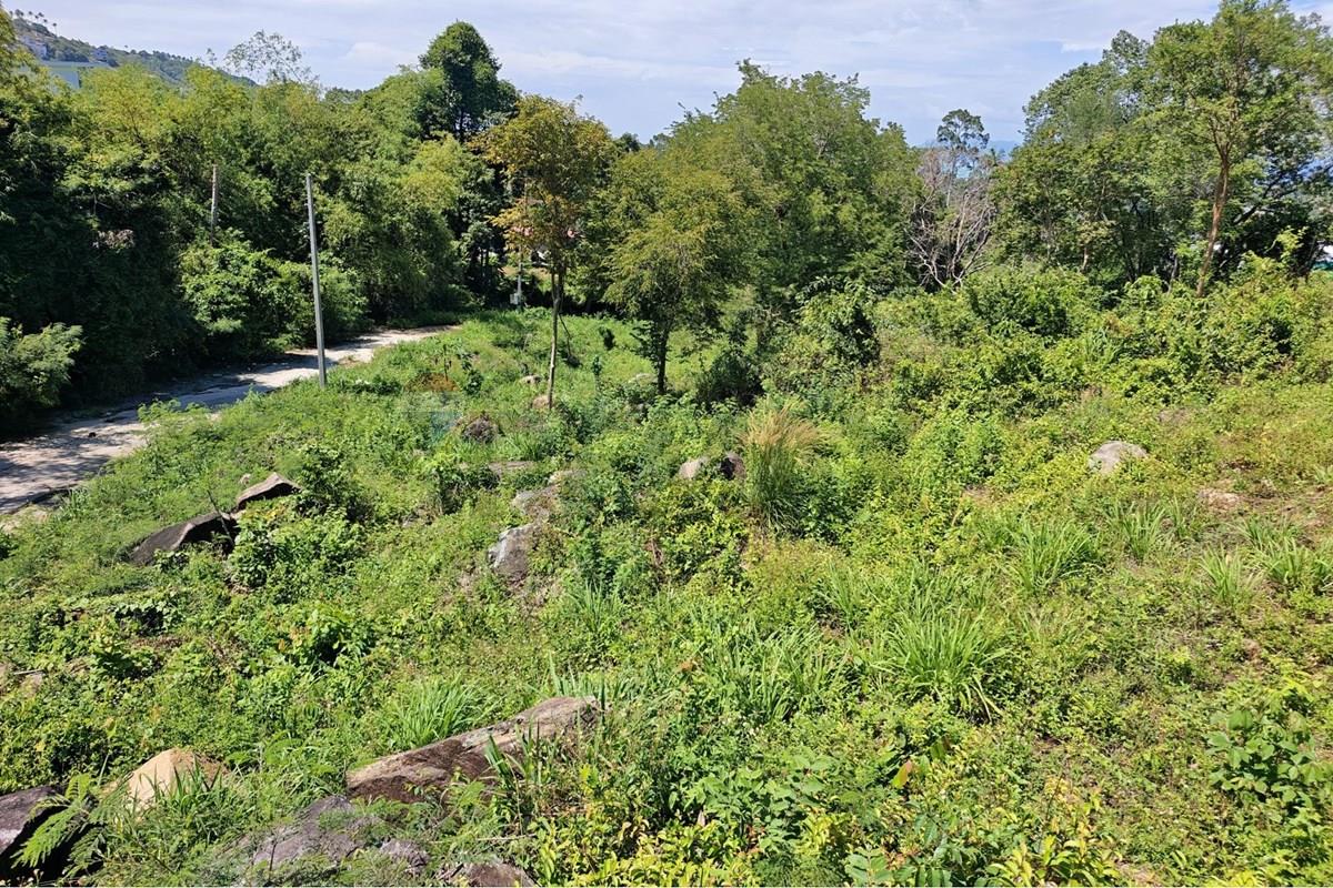 Land - Residential - For Sale - Koh Samui, Surat Thani - WhatsApp Image 2026-06-18 at 16.14.19.jpeg - 920121068-103