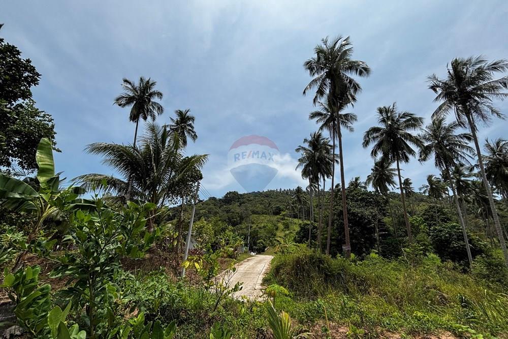 Land - Residential - For Sale - Koh Samui, Surat Thani - IMG_2409.jpeg - 920121088-20