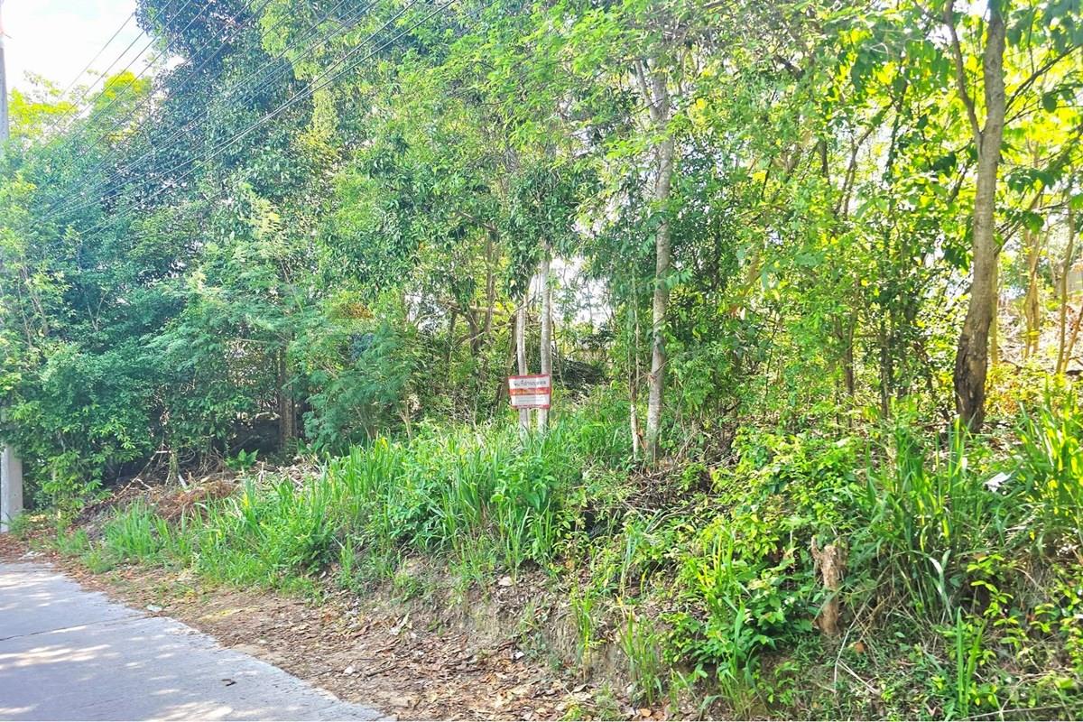 Land - Residential - For Sale - Koh Samui, Surat Thani - 002.jpg - 920121018-340