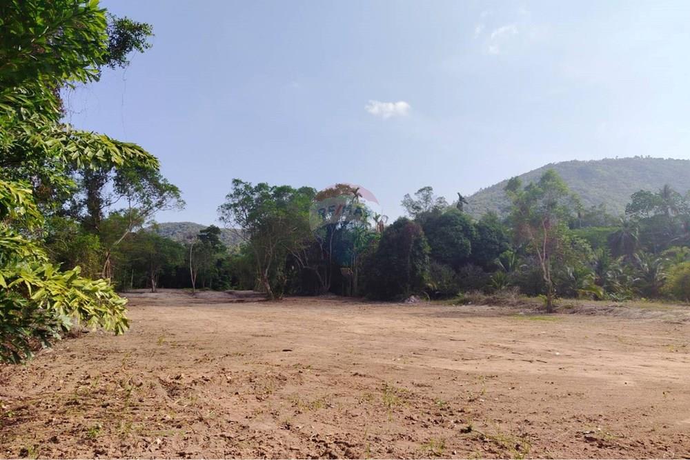 Land - Residential - For Sale - Koh Samui, Surat Thani - 655627_0.jpg - 920121075-106
