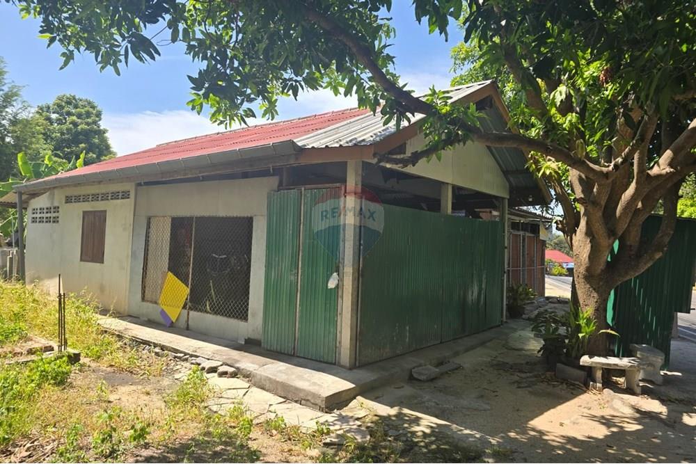 Land - Residential - For Sale - Koh Samui, Surat Thani - IMG-20250910-WA0016.jpg - 920121057-162