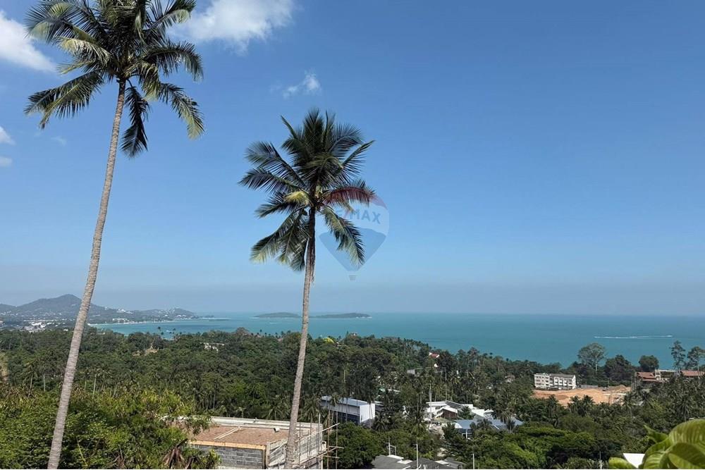 Land - Residential - For Sale - Koh Samui, Surat Thani - 597646254_10223873041053727_9172729422520304406_n.jpg - 920121018-321