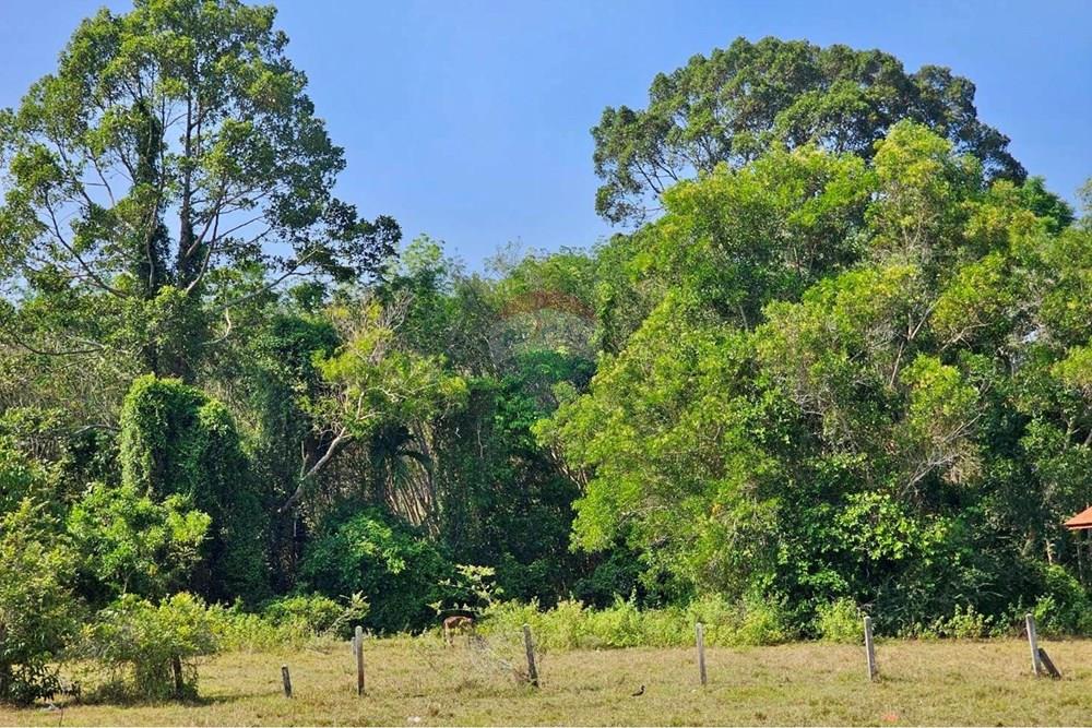 Land - Residential - For Sale - Tha Sala, Nakhon Si Thammarat - S__209100814_0.jpg - 920121030-302