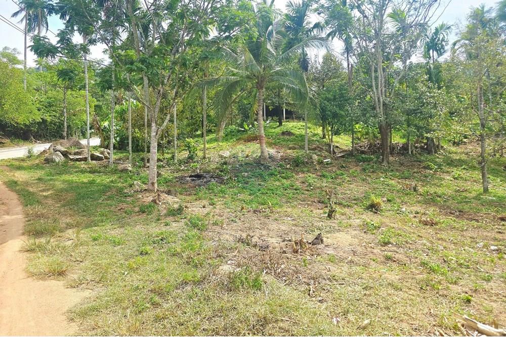 Land - Residential - For Sale - Koh Samui, Surat Thani - 012.jpg - 920121018-328