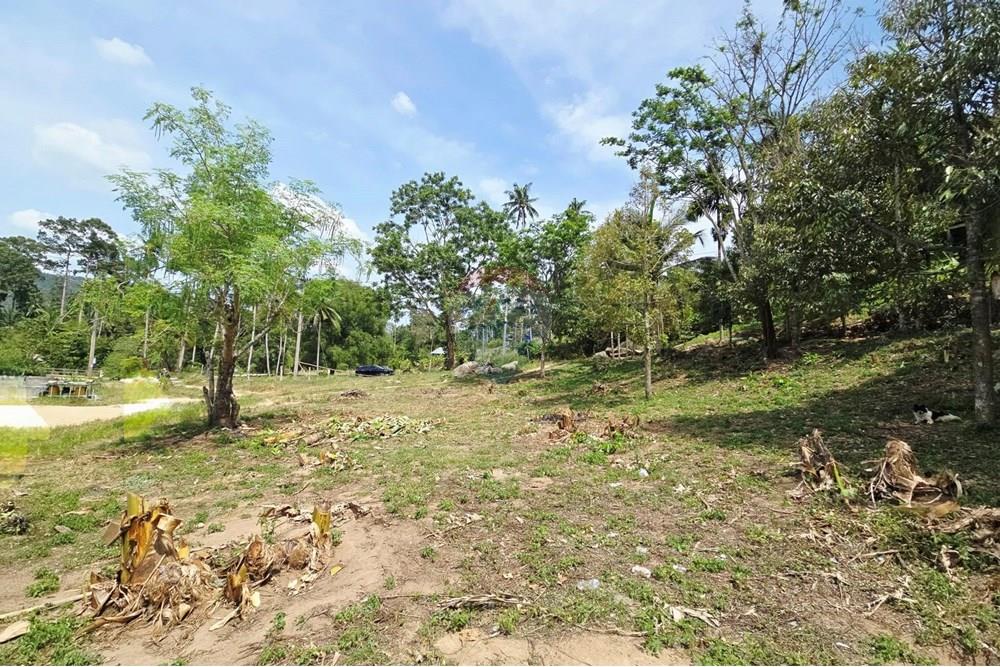 Land - Residential - For Sale - Koh Samui, Surat Thani - 009.jpg - 920121018-328