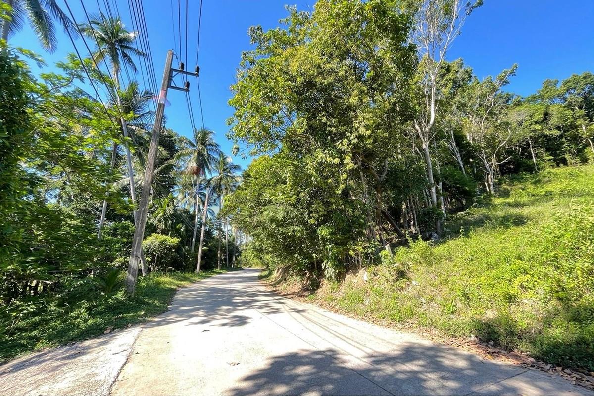 Land - Residential - For Sale - Koh Samui, Surat Thani - IMG-20251205-WA0022.jpg - 920121068-101