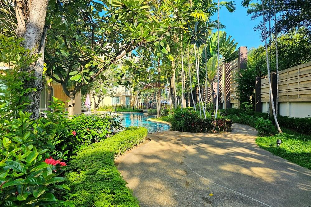 Condo/Apartment - For Rent/Lease - Hua Hin, Prachuap Khiri Khan - 20231210_151542.jpg - 920601001-1130